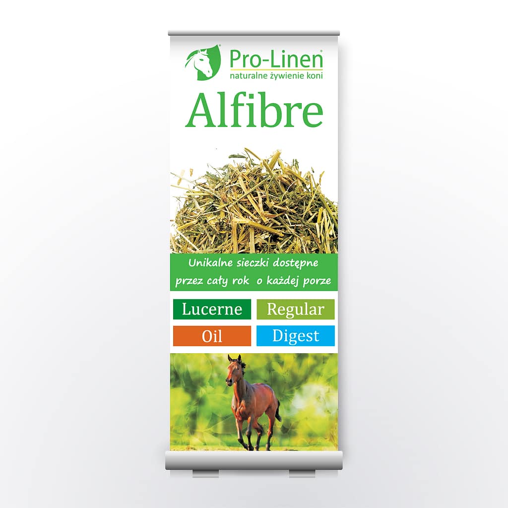 identyfikacja wiuzlana, branding, projekt graficzny, rollup, kampania