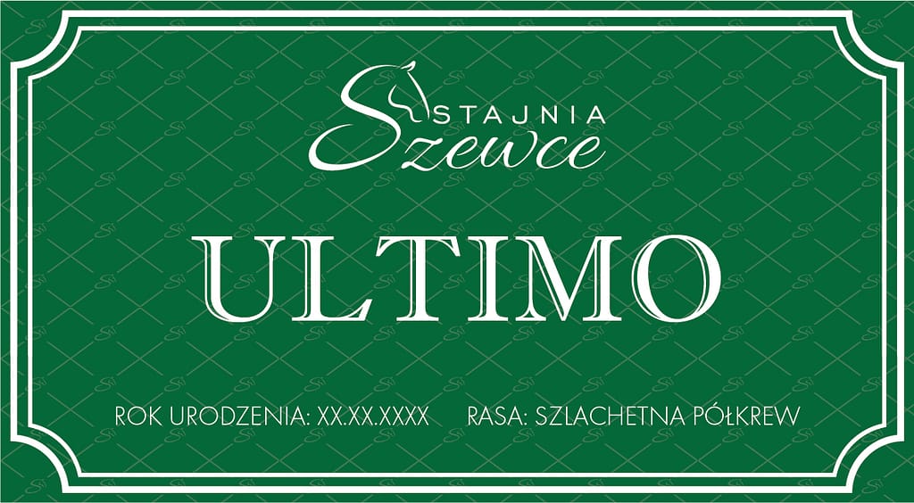 identyfikacja wiuzlana, branding, projekt graficzny, wizytówka