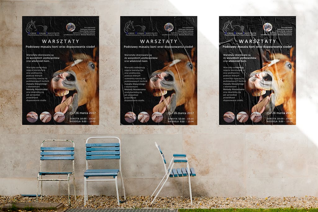 identyfikacja wiuzlana, branding, projekt graficzny, plakat